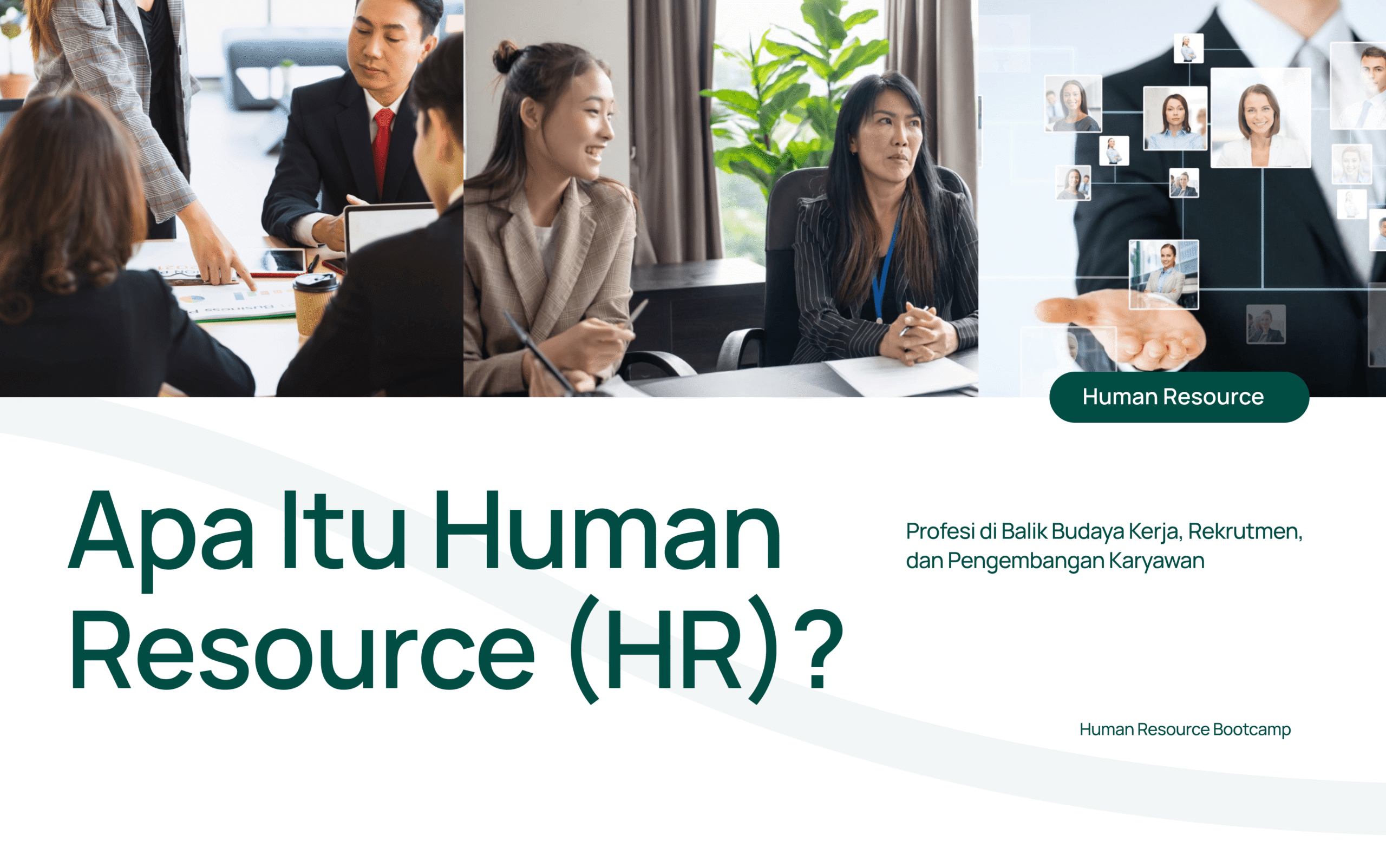 Apa Itu Human Resource
